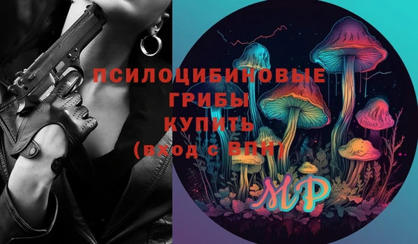 индика Алексеевка