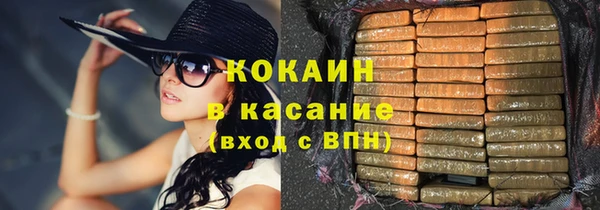 индика Алексеевка