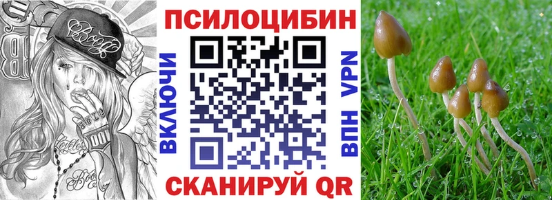 Псилоцибиновые грибы прущие грибы  Купить  Высоковск 
